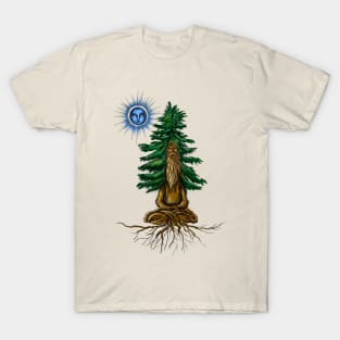 Sage of the Silent Pine and The Blue Star (Color) T-Shirt